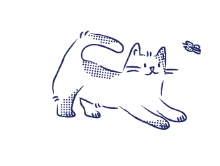 Kedi Maması Çeşitleri